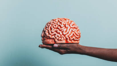 Black female hand hold human brain on blue background