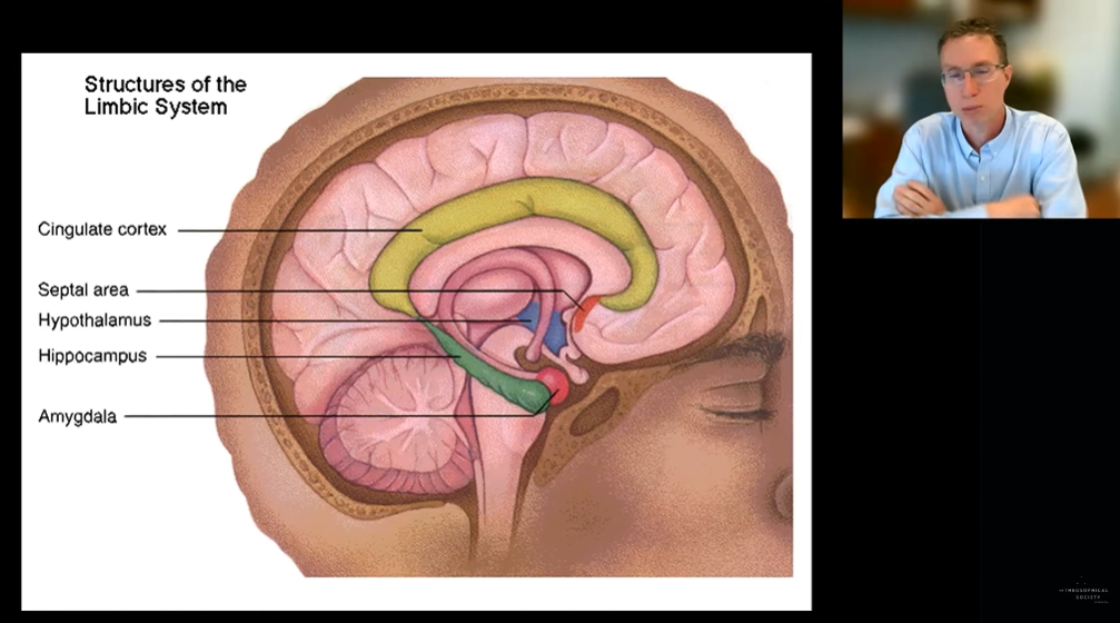 The Neuroscience of Spiritual Experience — Andrew Newberg [EN]